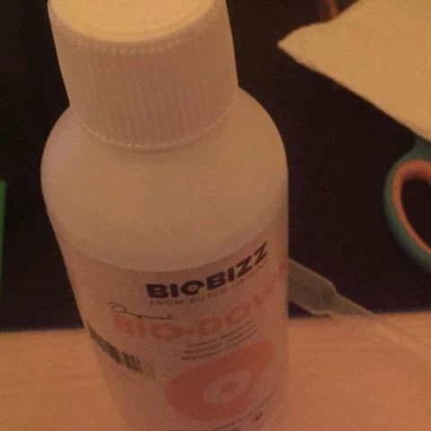 Unbekannte Sorte growlog photo: Ph Senker wurde ausgetestet. Gießwasser wurde nach mehreren Versuchen auf einen PH-Wert von 6.35 runter reduziert.
Leider sieht man durch die vorherigen Tage, als der PH-Wert höher gelegen hat minimale Gelbfärbung an ein paar Blättern. ( Gelbfärbung - > unzureichende Nährstoffaufnahme, wegen schlechten PH-Wert ) 