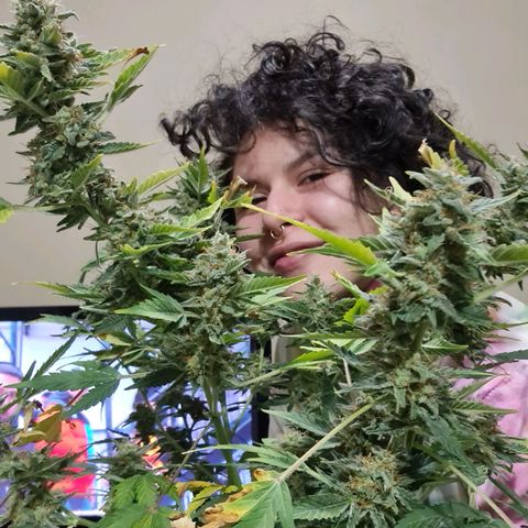 Mabel growlog timeline photo