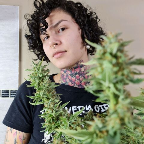 Mabel growlog timeline photo