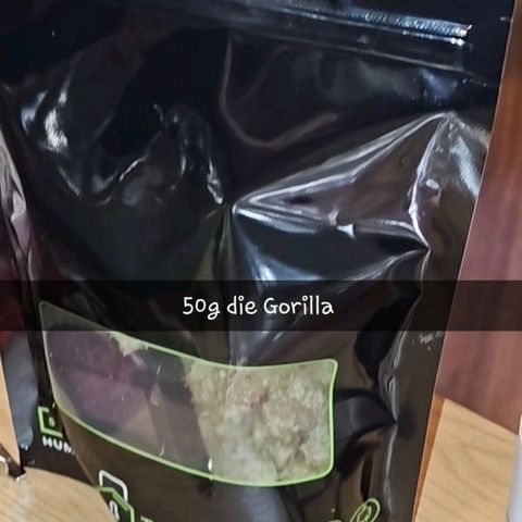 Gorilla Zkittlez growlog timeline photo