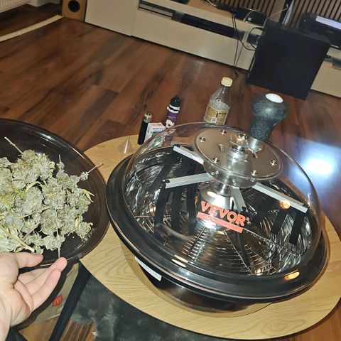 Tropicanna Poison F1 growlog timeline photo