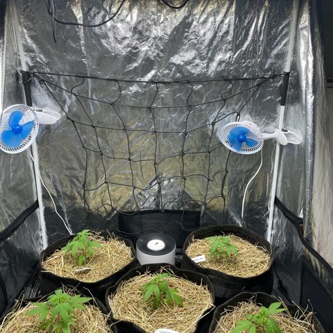 RBRD #3 growlog timeline photo