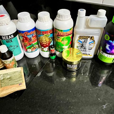 RBRD #3 growlog timeline photo