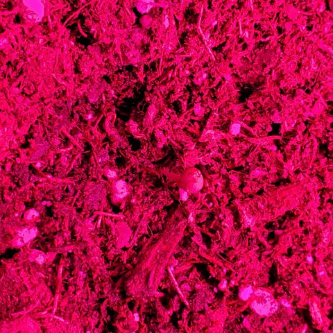 Unknown strain growlog photo: Have a few new comers.  When there is death,  there is new life.  All plants have there DOB marked on their planters