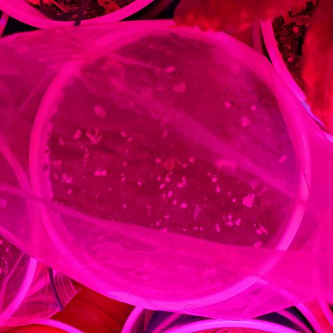 Unknown strain growlog photo: Welcome to the world!  2 - Blueberry Autos just popped up from the soil today.  Starting day 1 today