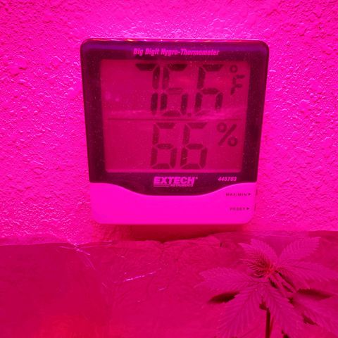 Unknown strain growlog timeline photo