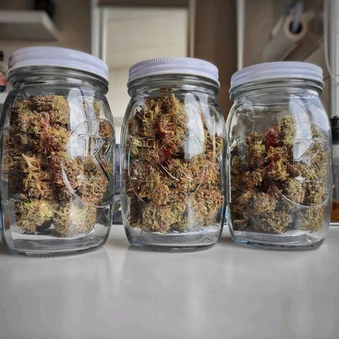 Strawberry Banana growlog timeline photo