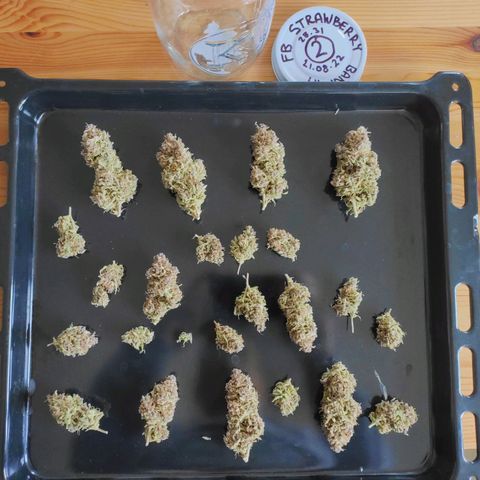 Strawberry Banana growlog timeline photo