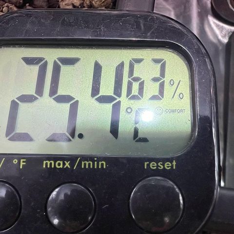 Biscotti growlog timeline photo