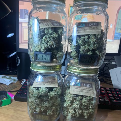 Banana Blaze growlog timeline photo