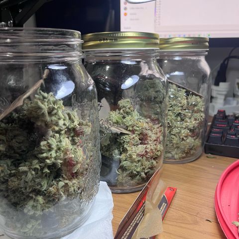 Banana Blaze growlog timeline photo
