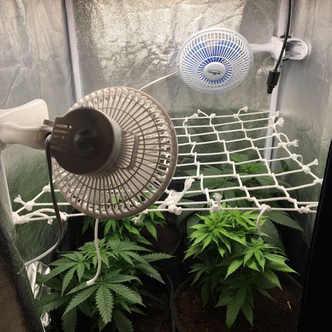 A growlog photo: Nouvelle installation