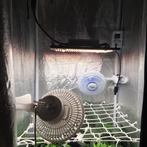 A growlog photo: Nouvelle installation