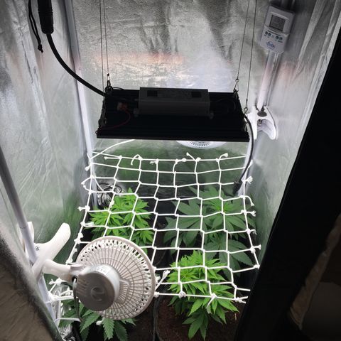 A growlog photo: Nouvelle installation