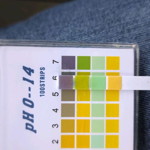 Trick growlog photo: PH Drain ca. 6,5