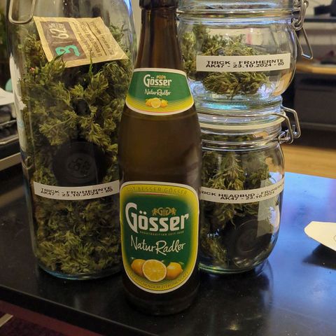 Trick growlog photo: Eingeglast: 80g mit zwei boveda 
Insgesamt 109g, 29g wurden vernichtet 