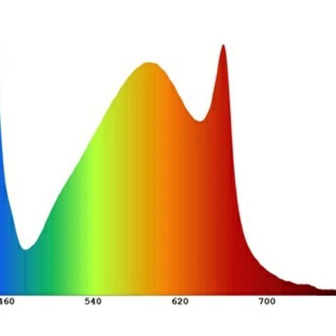 KC 36 growlog timeline photo
