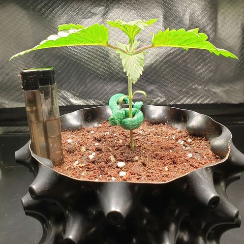 KC 36 growlog photo: Reporting..
