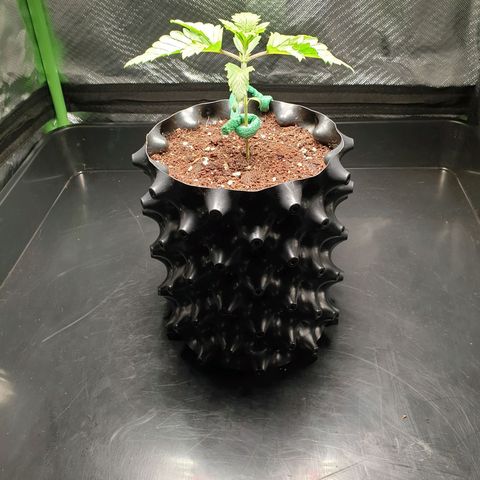 KC 36 growlog photo: Reporting..