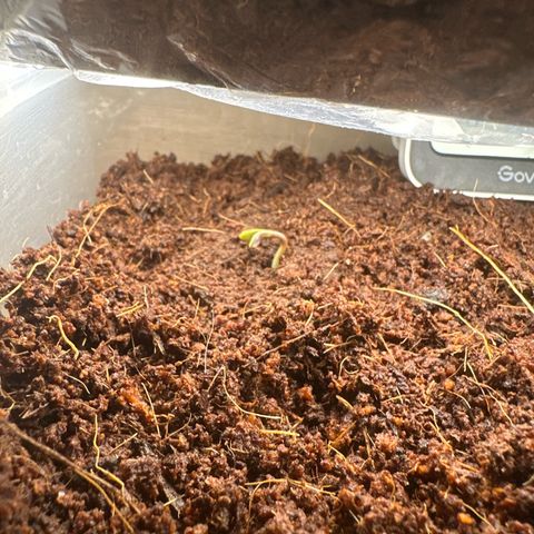 Epsilon F1 - Balkon rechts growlog timeline photo