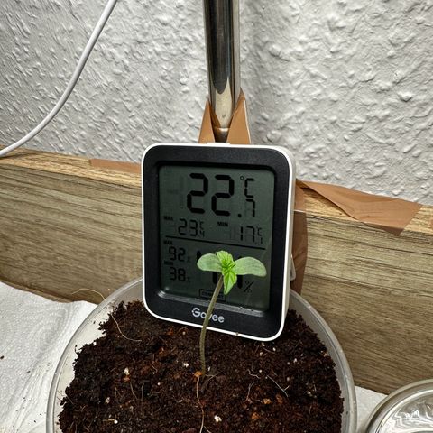 Epsilon F1 - Balkon rechts growlog timeline photo