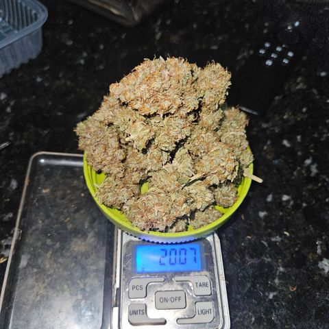 24k gold F1 growlog timeline photo
