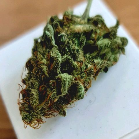 1. try with issues growlog timeline photo