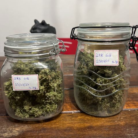 24k Gold growlog timeline photo