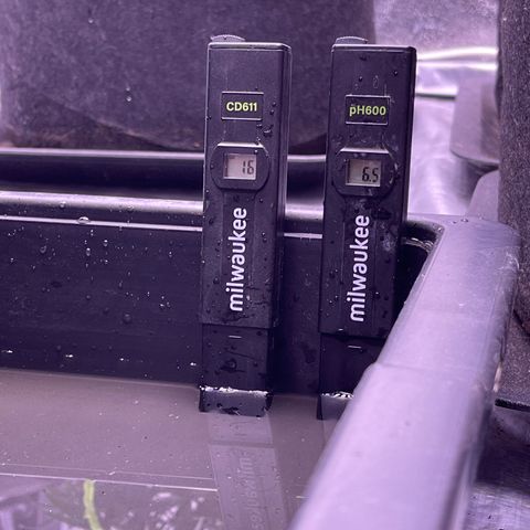 Unknown strain growlog timeline photo