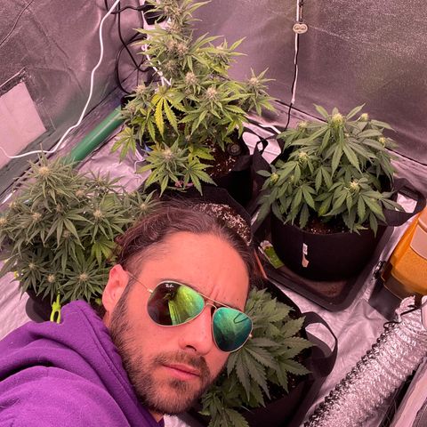 Unknown strain growlog timeline photo