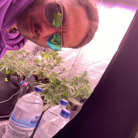 Unknown strain growlog timeline photo