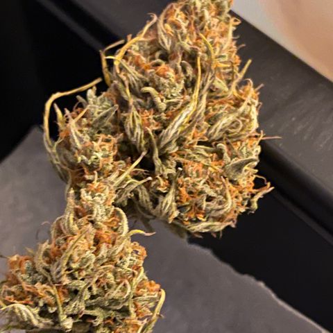 Unknown strain growlog timeline photo