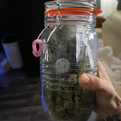Unknown strain growlog timeline photo