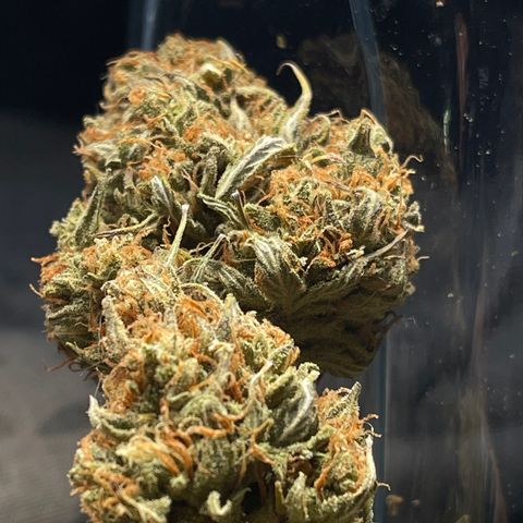 Unknown strain growlog timeline photo