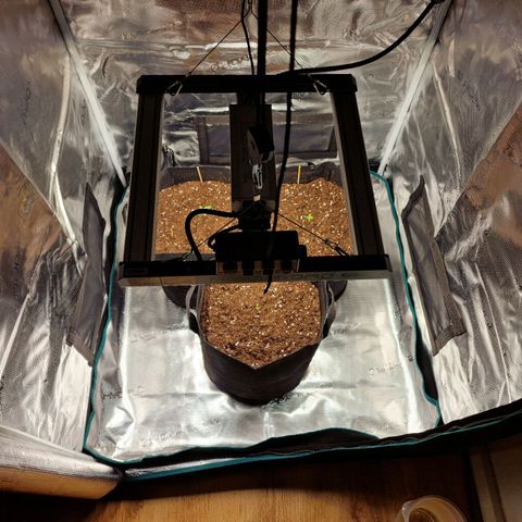 The Last growlog timeline photo