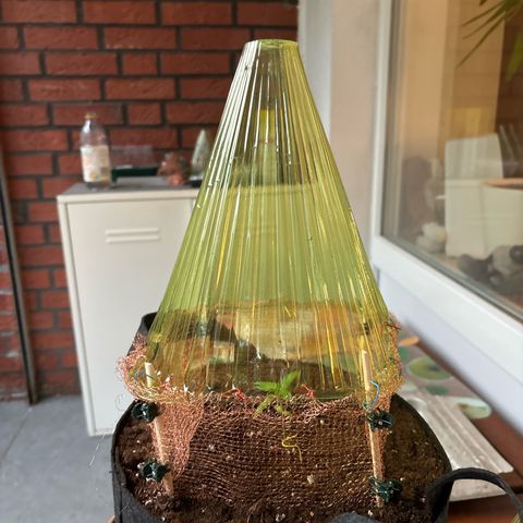Stress Killer Automatic growlog timeline photo