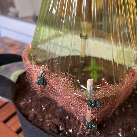 Stress Killer Automatic growlog timeline photo