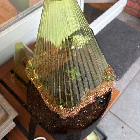 Stress Killer Automatic growlog timeline photo