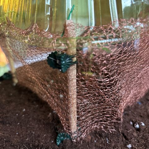 Stress Killer Automatic growlog timeline photo