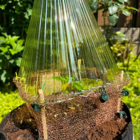Stress Killer Automatic growlog timeline photo