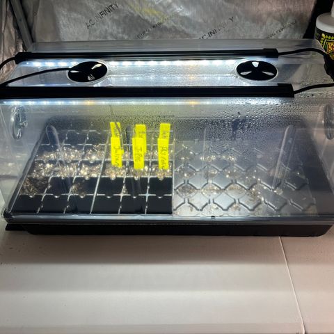 J-Roc growlog timeline photo