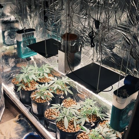 Demeter growlog photo: Manutenção diária completa!
Estão consumindo cada vez mais água...