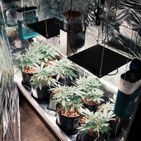 Demeter growlog photo: Última foto da noite...