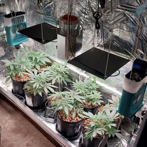 Demeter growlog photo: Foto tirada nas primeiras horas do dia...