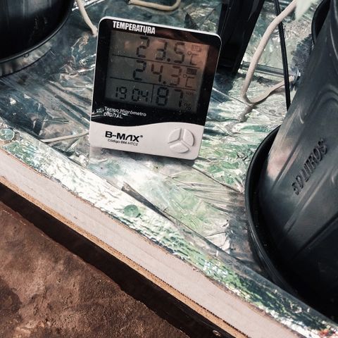 Demeter growlog timeline photo