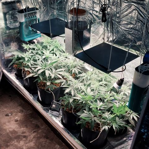 Demeter growlog timeline photo