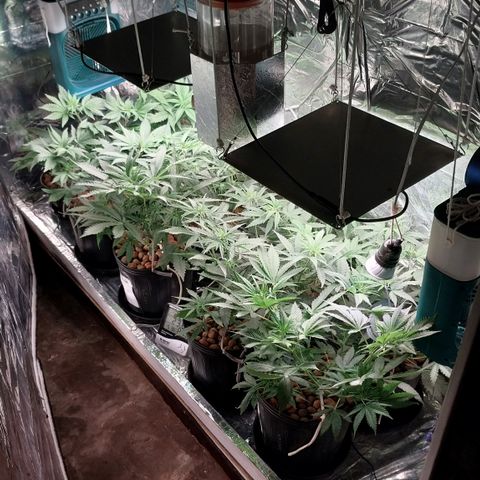 Demeter growlog photo: Primeiro registro do dia...