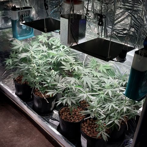 Demeter growlog photo: Primeiro registro do dia.