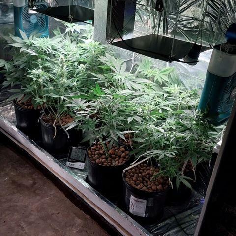 Demeter growlog photo: Primeiro Registro do dia.