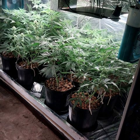 Demeter growlog photo: Primeiro registro do dia.